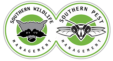 southern wildlife management