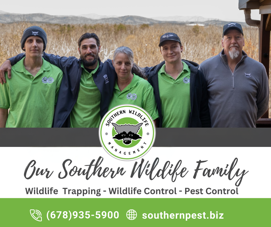 ball ground wildlife removal family
