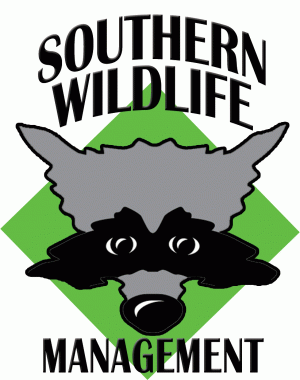 Wildlife Trapping & Pest Control Services