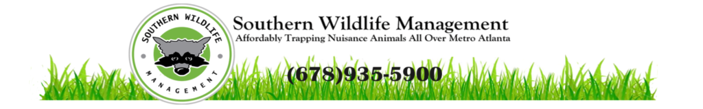 Affordable Wildlife Trapping – Pest Control Services